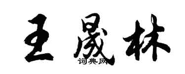 胡問遂王晟林行書個性簽名怎么寫