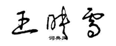 曾慶福王映雪草書個性簽名怎么寫