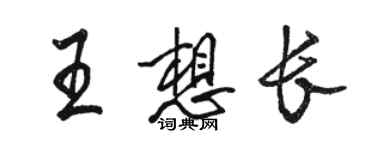 駱恆光王想長行書個性簽名怎么寫