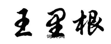 胡問遂王里根行書個性簽名怎么寫