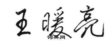 駱恆光王暖亮行書個性簽名怎么寫