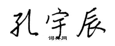 王正良孔宇辰行書個性簽名怎么寫