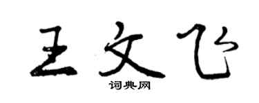 曾慶福王文飛行書個性簽名怎么寫
