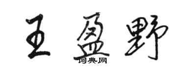 駱恆光王盈野行書個性簽名怎么寫