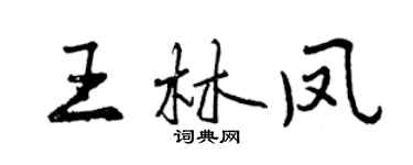 曾慶福王林鳳行書個性簽名怎么寫