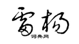 曾慶福雷楊草書個性簽名怎么寫