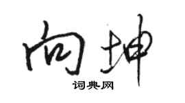 駱恆光向坤行書個性簽名怎么寫