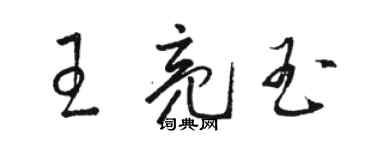 駱恆光王亮玉草書個性簽名怎么寫