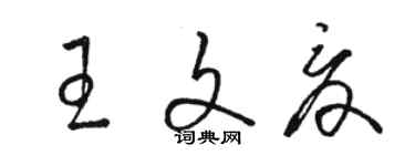 駱恆光王文夏草書個性簽名怎么寫