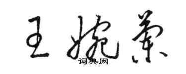 駱恆光王婉蘭草書個性簽名怎么寫