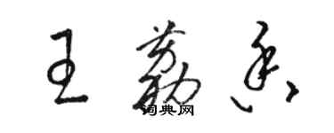 駱恆光王荔香草書個性簽名怎么寫