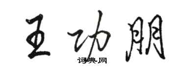 駱恆光王功朋行書個性簽名怎么寫