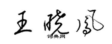 梁錦英王曉鳳草書個性簽名怎么寫
