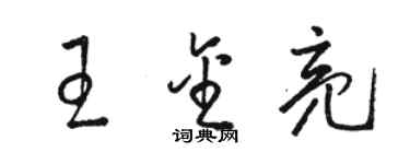 駱恆光王金亮草書個性簽名怎么寫