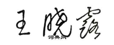 駱恆光王曉露草書個性簽名怎么寫