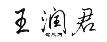 駱恆光王潤君行書個性簽名怎么寫