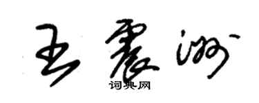 朱錫榮王震洲草書個性簽名怎么寫