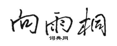 駱恆光向雨桐行書個性簽名怎么寫