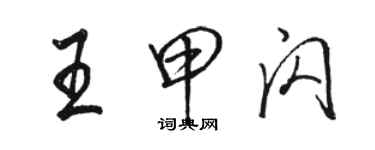 駱恆光王甲閃行書個性簽名怎么寫