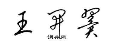 梁錦英王開翼草書個性簽名怎么寫