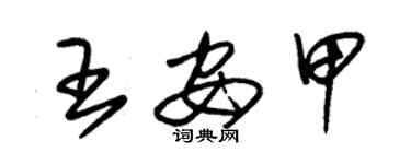 朱錫榮王安甲草書個性簽名怎么寫