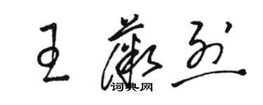 駱恆光王薇烈草書個性簽名怎么寫