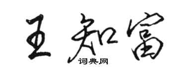 駱恆光王知富行書個性簽名怎么寫