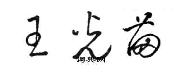 駱恆光王光苗草書個性簽名怎么寫