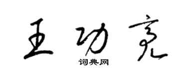 梁錦英王功亮草書個性簽名怎么寫