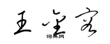 梁錦英王金容草書個性簽名怎么寫
