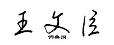 梁錦英王文臣草書個性簽名怎么寫