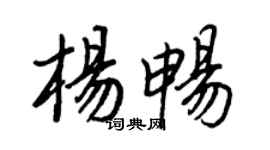王正良楊暢行書個性簽名怎么寫