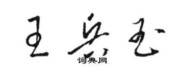 駱恆光王兵玉草書個性簽名怎么寫