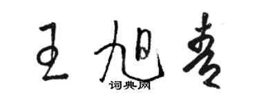 駱恆光王旭青草書個性簽名怎么寫