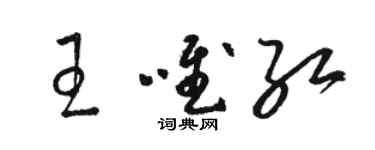 駱恆光王唯紅草書個性簽名怎么寫