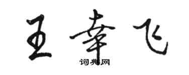 駱恆光王幸飛行書個性簽名怎么寫
