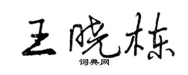 曾慶福王曉棟行書個性簽名怎么寫