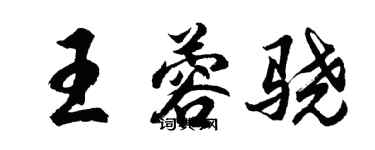 胡問遂王蓉驍行書個性簽名怎么寫