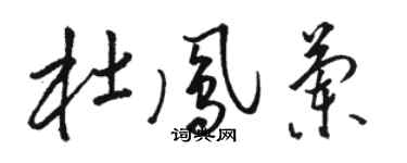 駱恆光杜鳳蘭草書個性簽名怎么寫