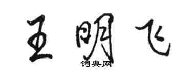 駱恆光王明飛行書個性簽名怎么寫