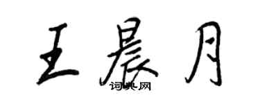 王正良王晨月行書個性簽名怎么寫
