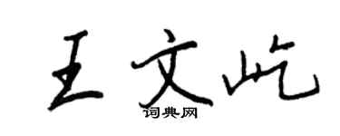 王正良王文屹行書個性簽名怎么寫