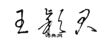 駱恆光王穎君草書個性簽名怎么寫