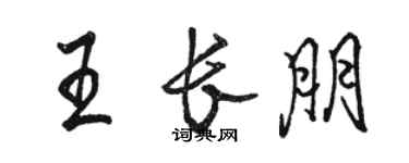駱恆光王長朋行書個性簽名怎么寫