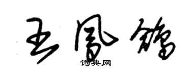 朱錫榮王鳳鴿草書個性簽名怎么寫