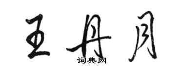 駱恆光王丹月行書個性簽名怎么寫