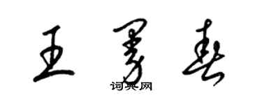 梁錦英王曼春草書個性簽名怎么寫