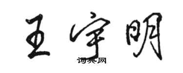 駱恆光王宇明行書個性簽名怎么寫