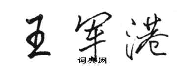 駱恆光王軍港行書個性簽名怎么寫