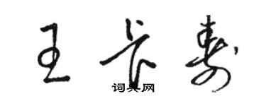 駱恆光王卡壽草書個性簽名怎么寫